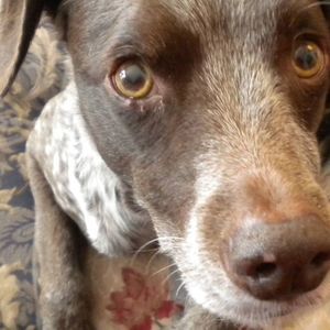 Meet your Posher, Sue